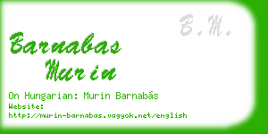 barnabas murin business card