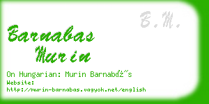 barnabas murin business card